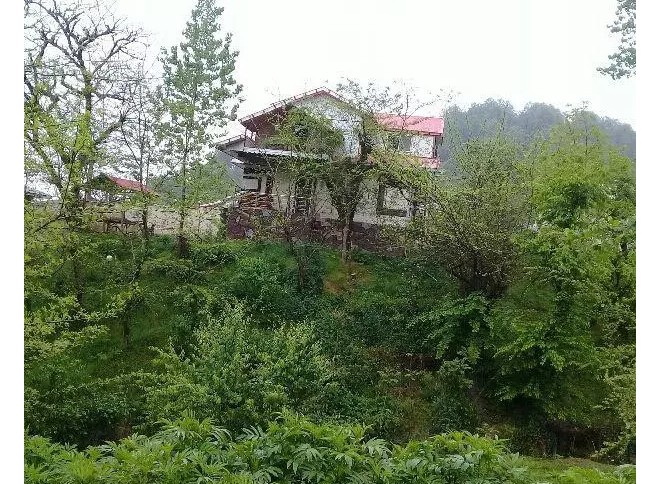 نمای پشتی از دور