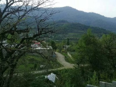 ویلا جنگلی