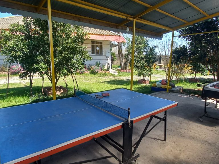 میز پینگ پنگ و فوتبالدستی