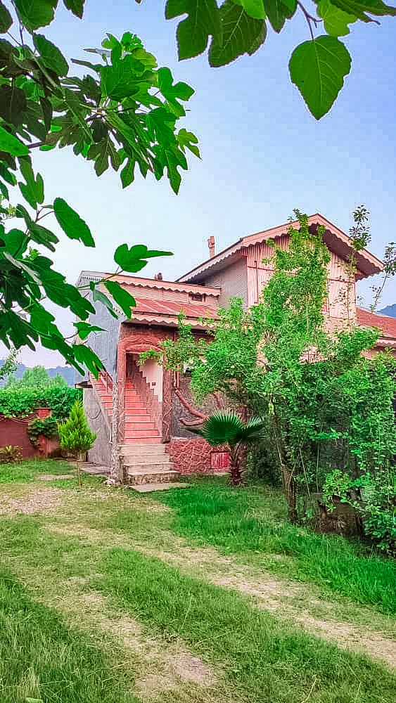 نمای ساختمان