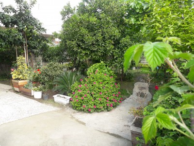 خانه باغ یک خوابه حیاط دار رامسر
