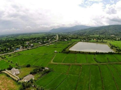 ویلا باغ جنگلی در دامنه کوه ماسال