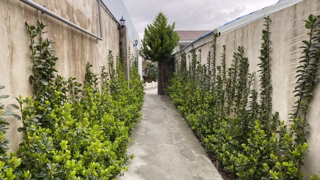 مسیر ورودی