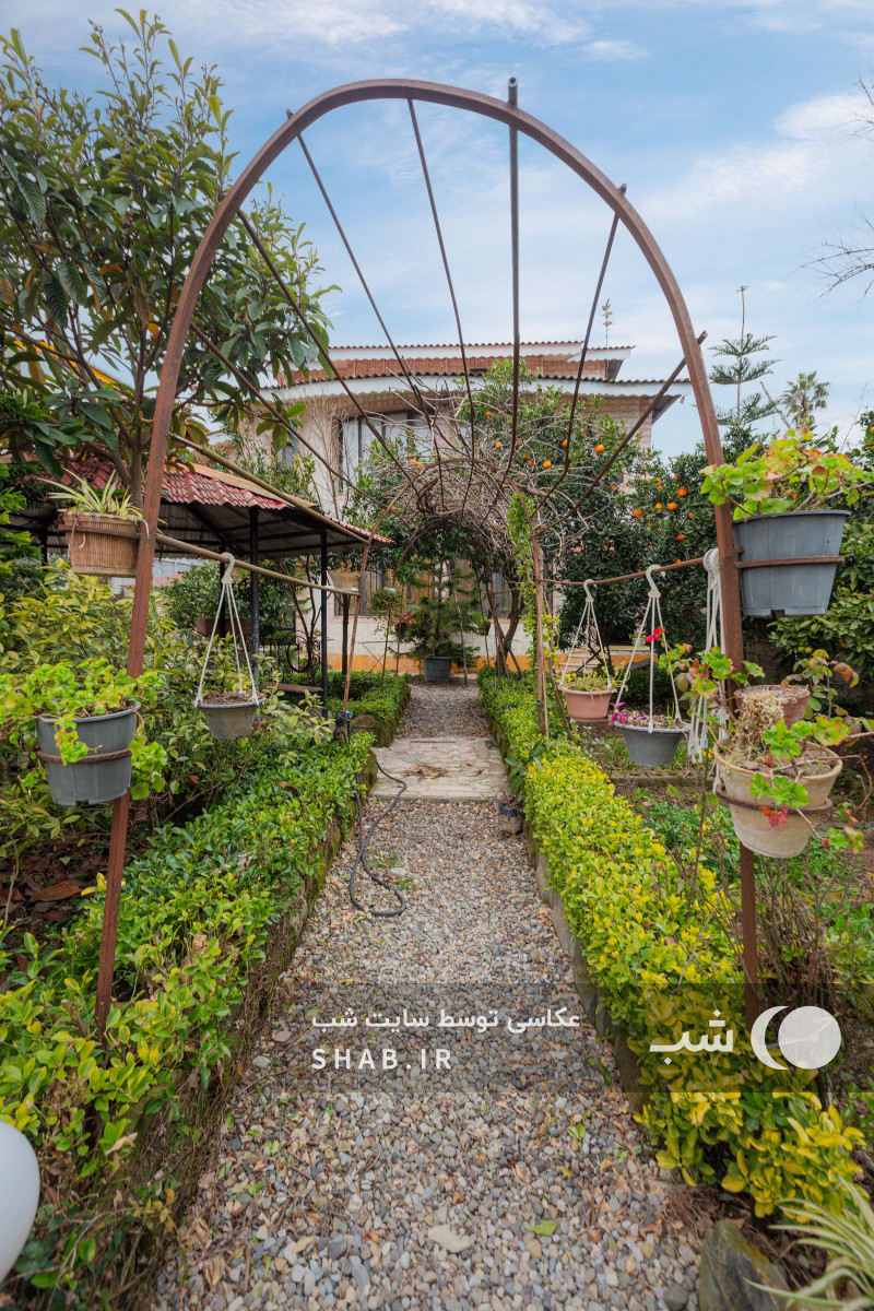 حياط