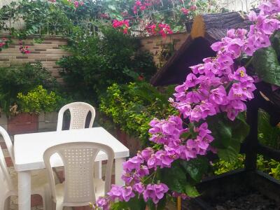 ویلا دربستی در نوشهر ویلا دربستی در نوشهر