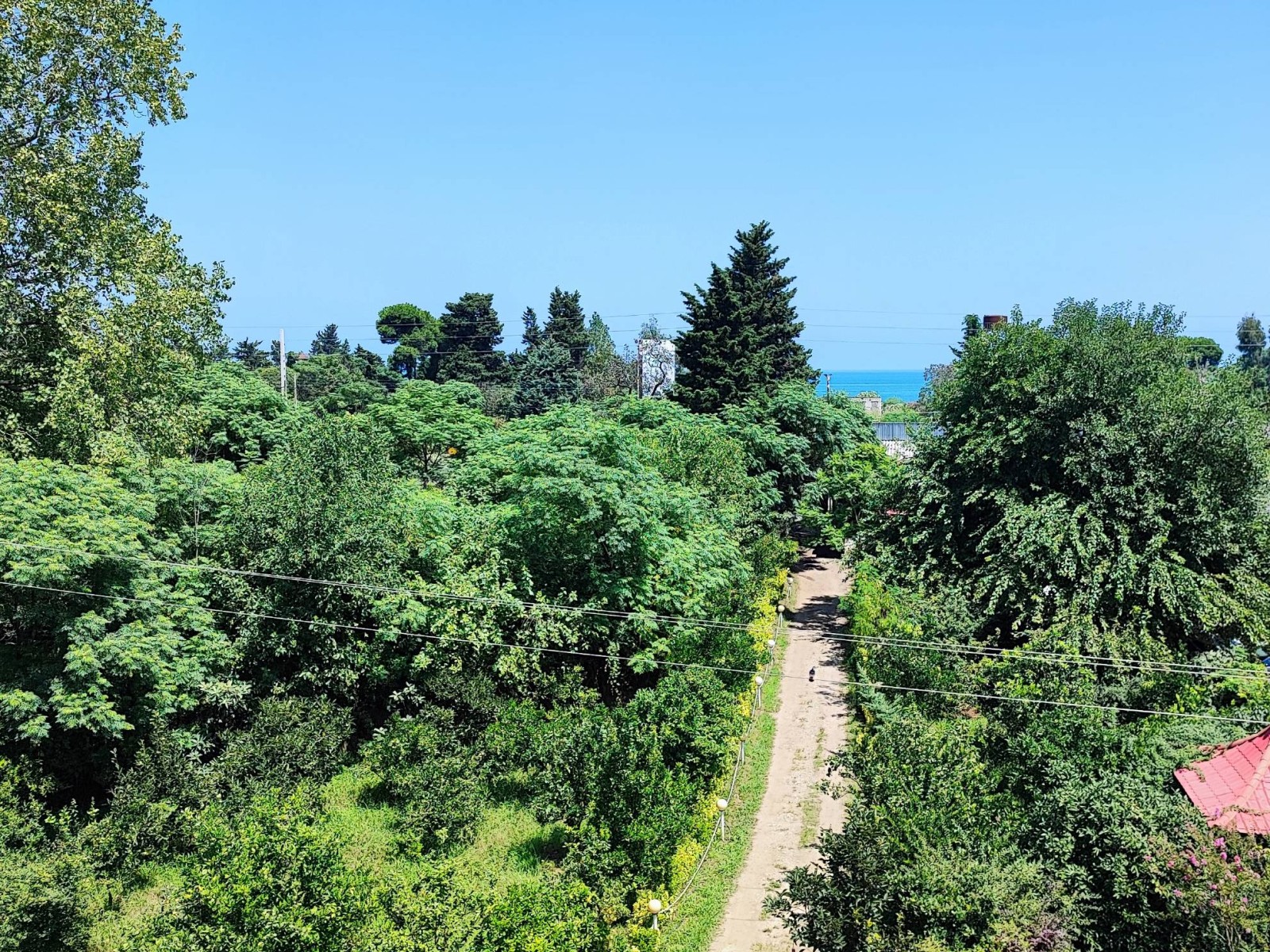 نمای بیرونی ساختمان