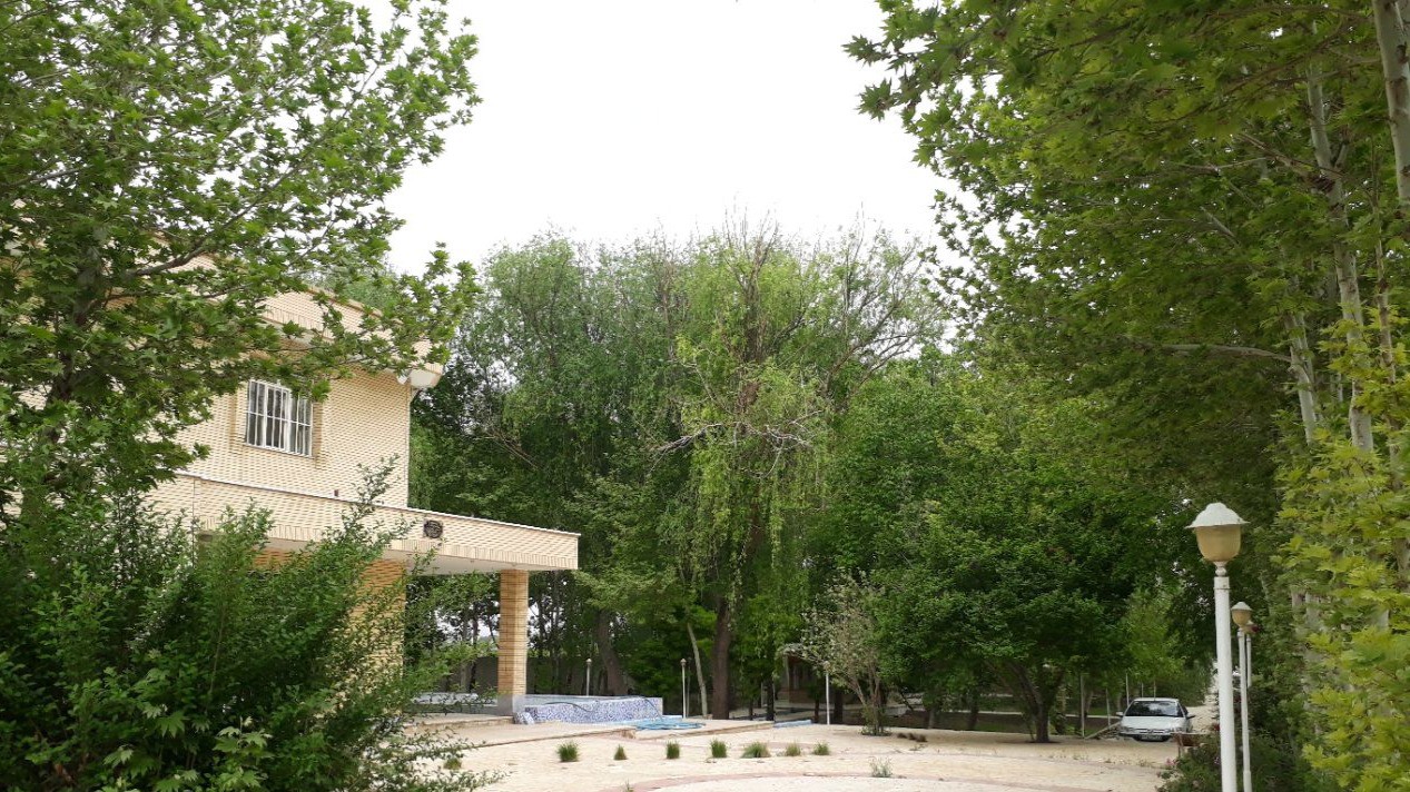 حیاط