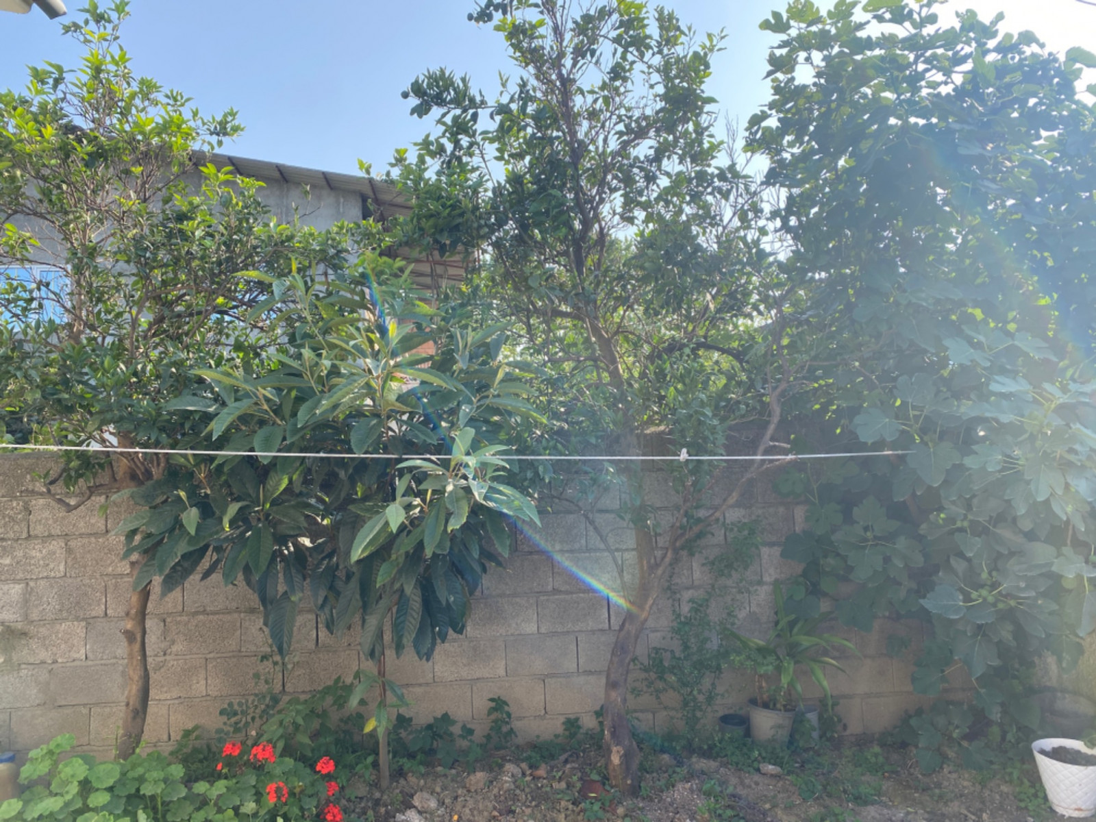 نمای بیرونی ساختمان نمای بیرونی ساختمان