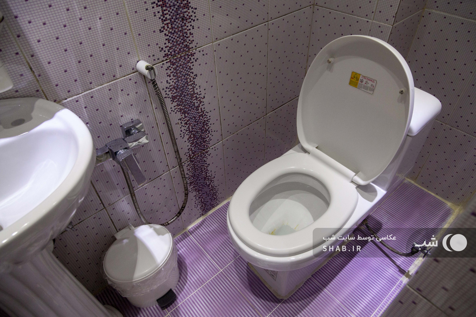 سرویس بهداشتی