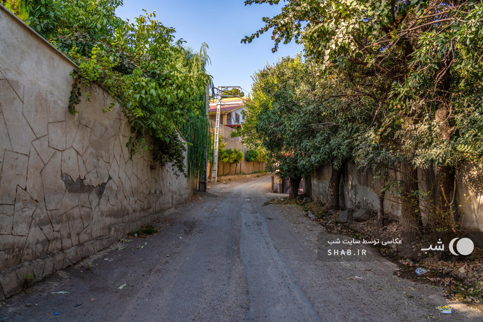 محوطه بیرونی