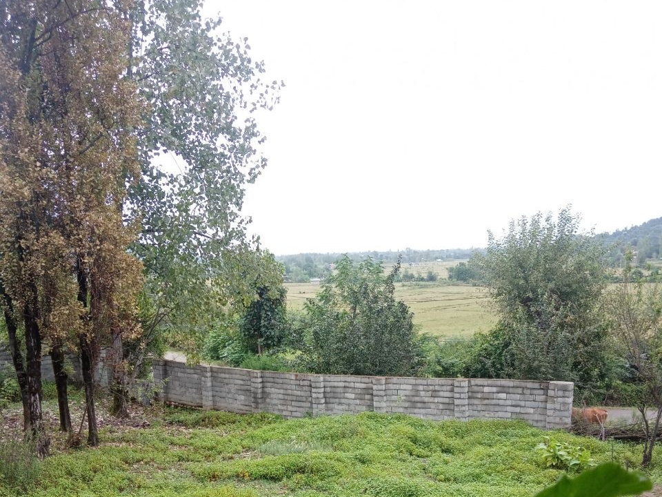 نمای تراس