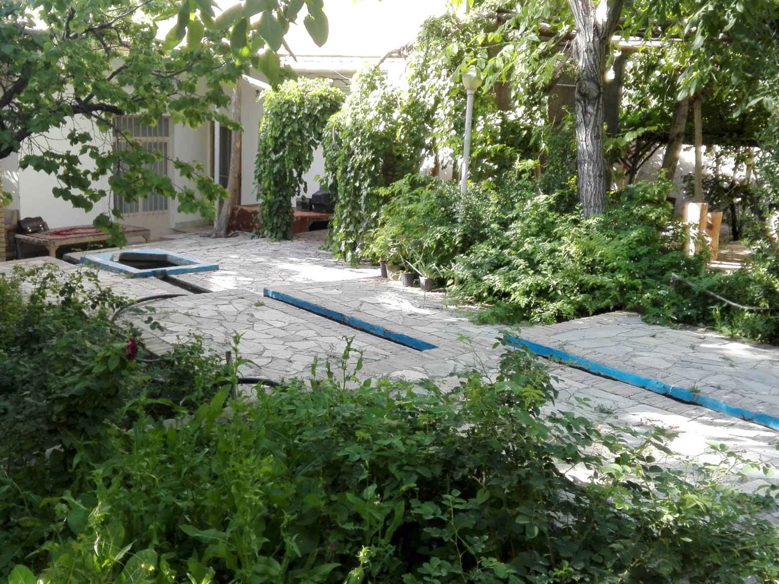 محوطه باغ