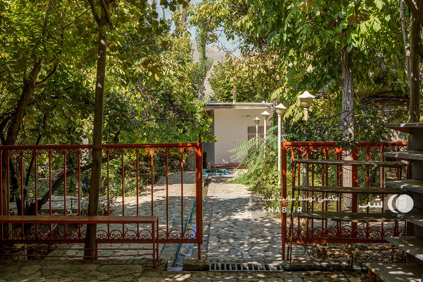محوطه باغ