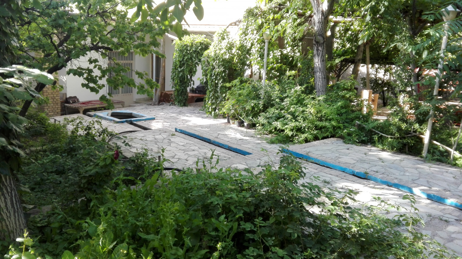 محوطه باغ