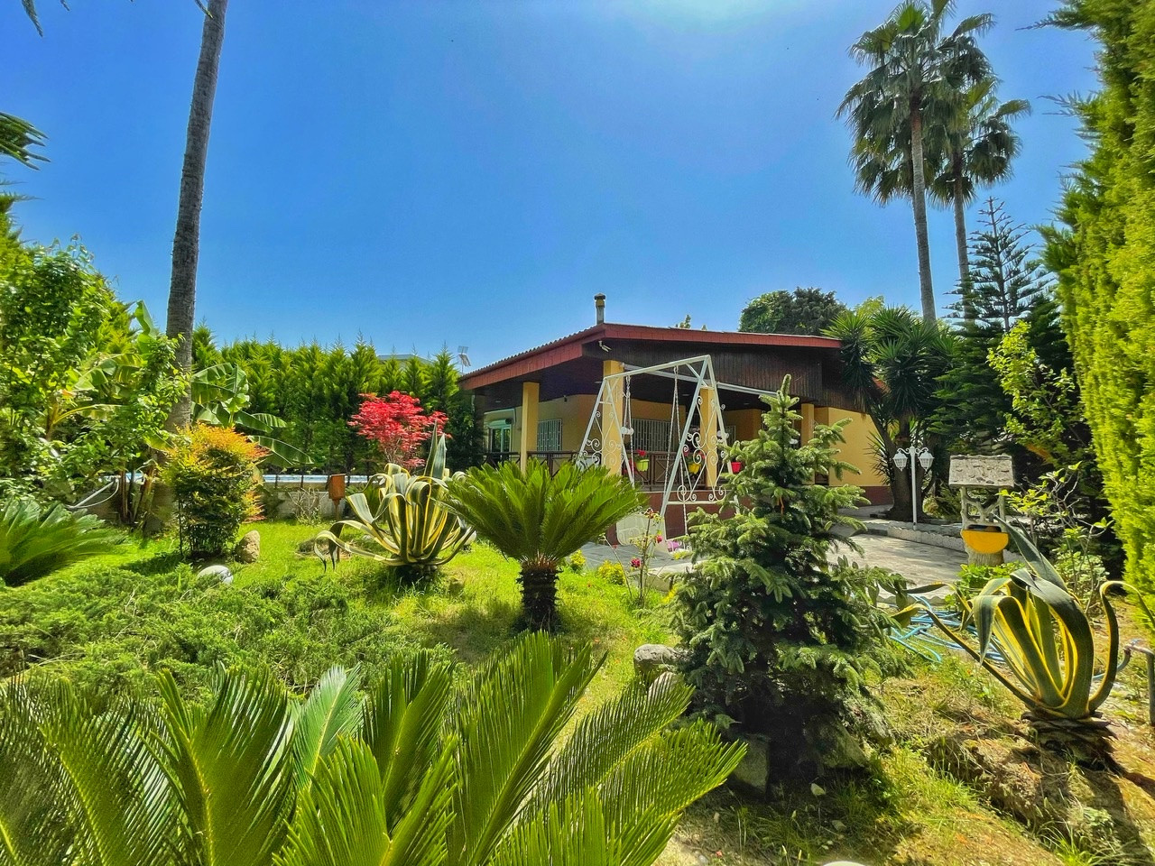 نمای کلی نمای کلی