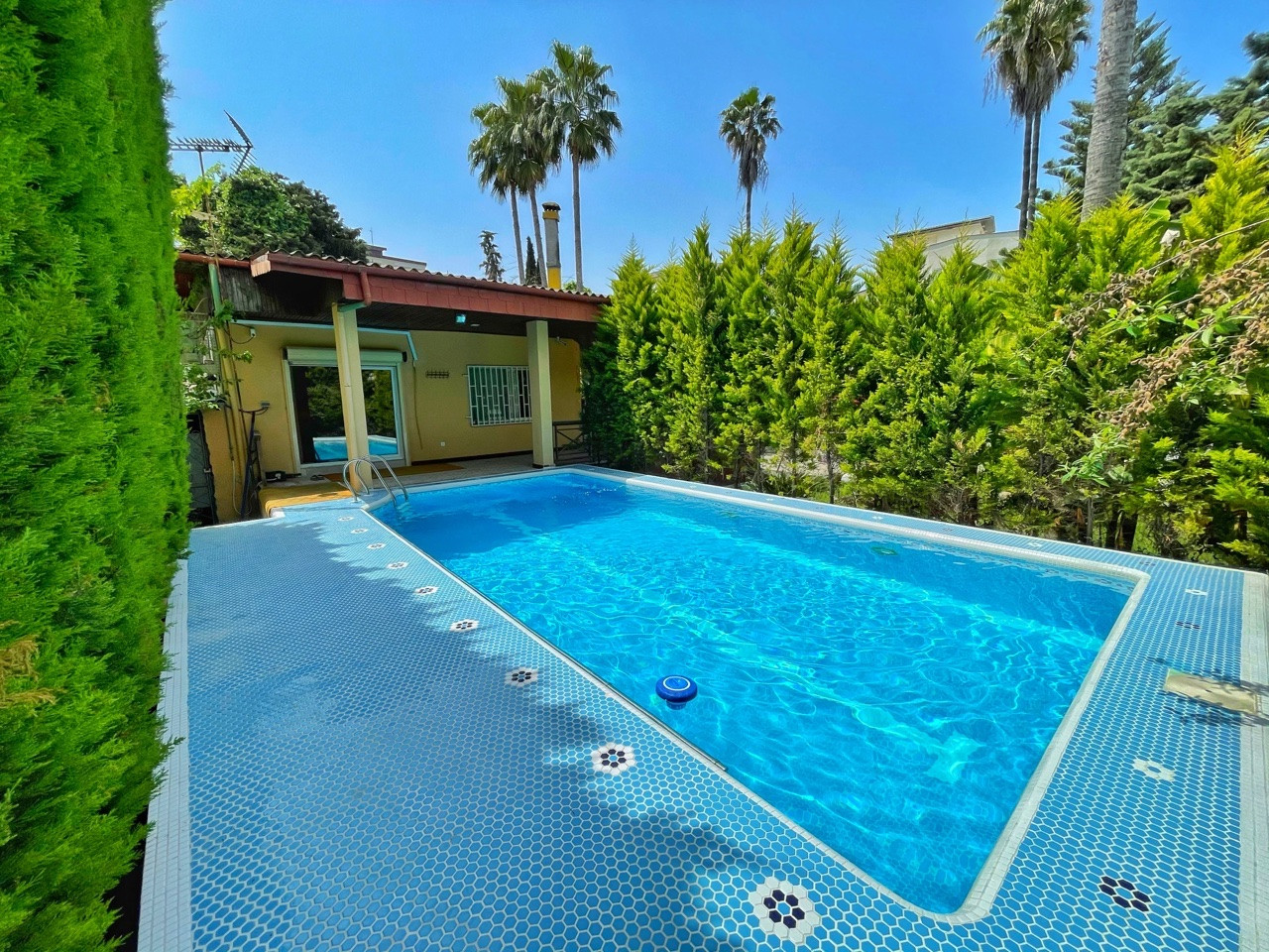 استخر استخر