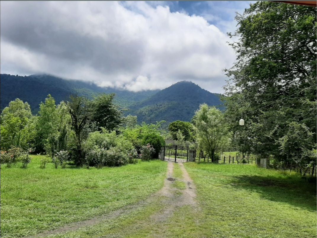 نمایی از جلوی ویلا