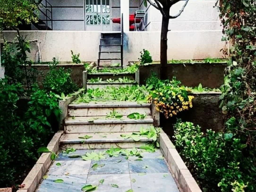 نمای دیگر حیاط