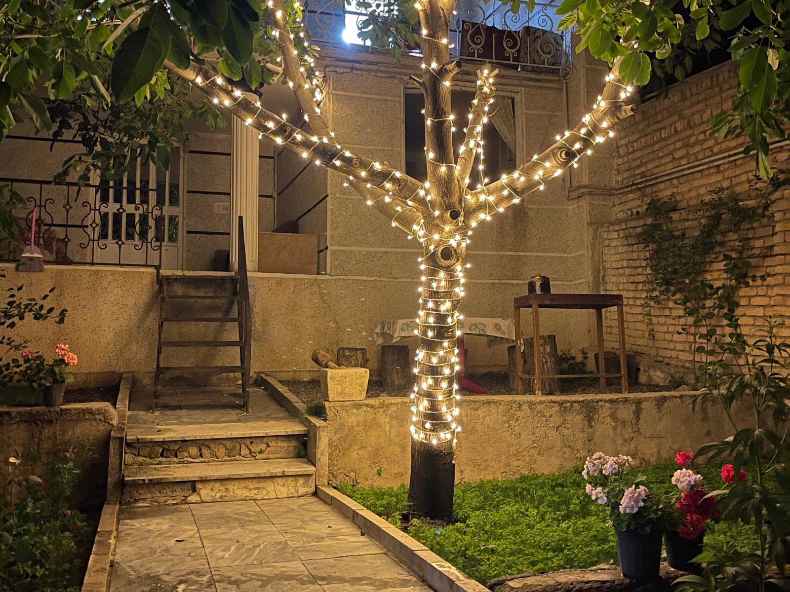 شب های رویایی داخل حیاط