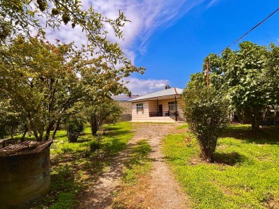 ویلا باغ 3 خواب نقیبی ماسال