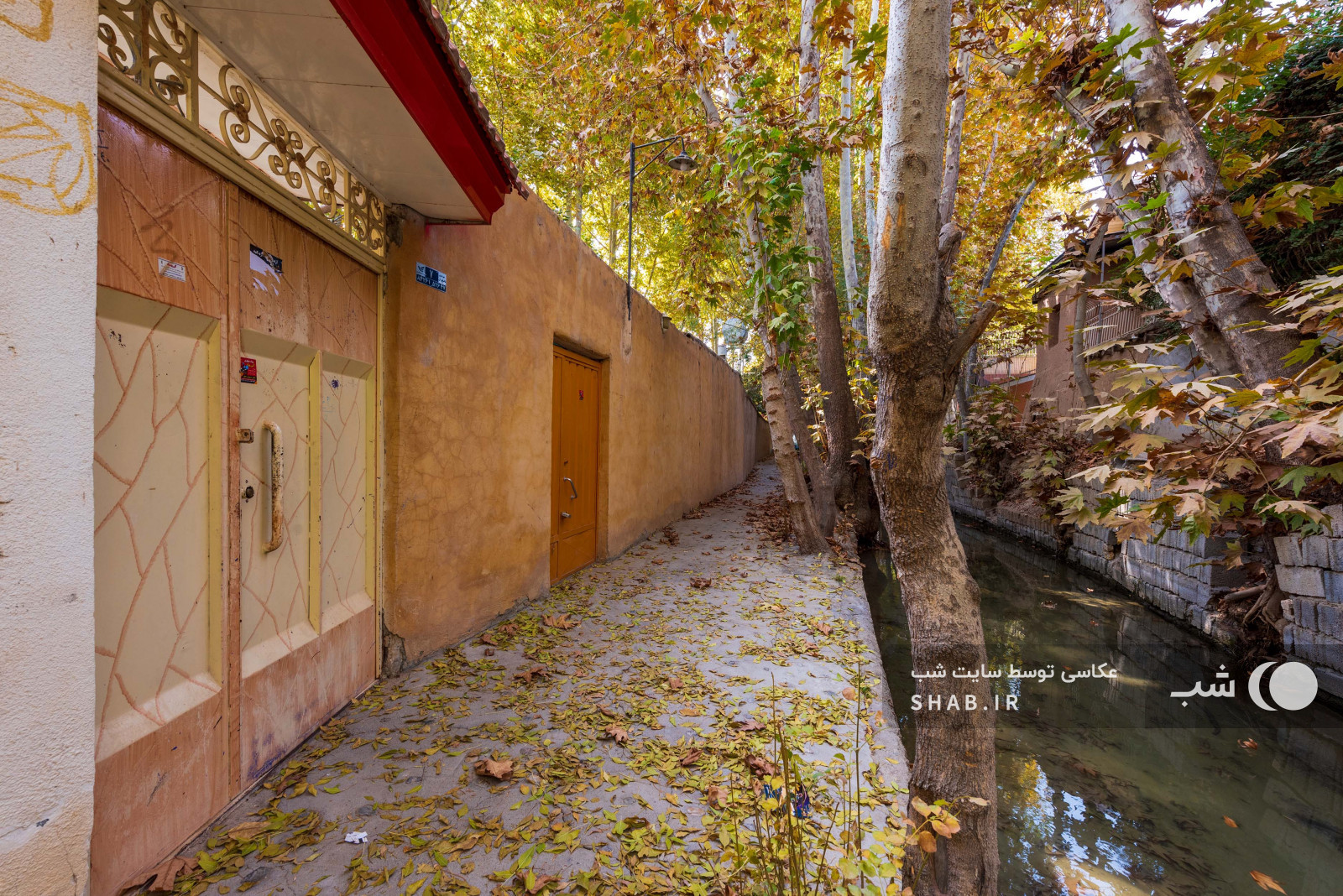 محوطه بیرونی