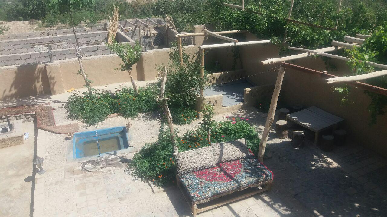 حیاط