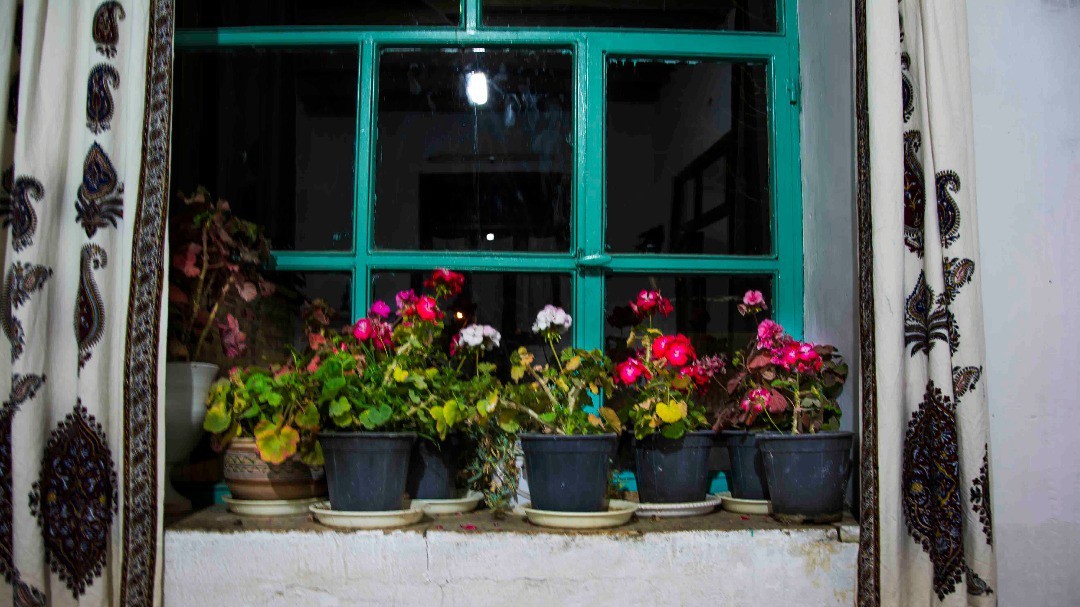 پنجره اتاق (1)