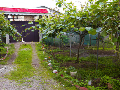 خانه روستای ساحلی سرسبز نیمه دربست