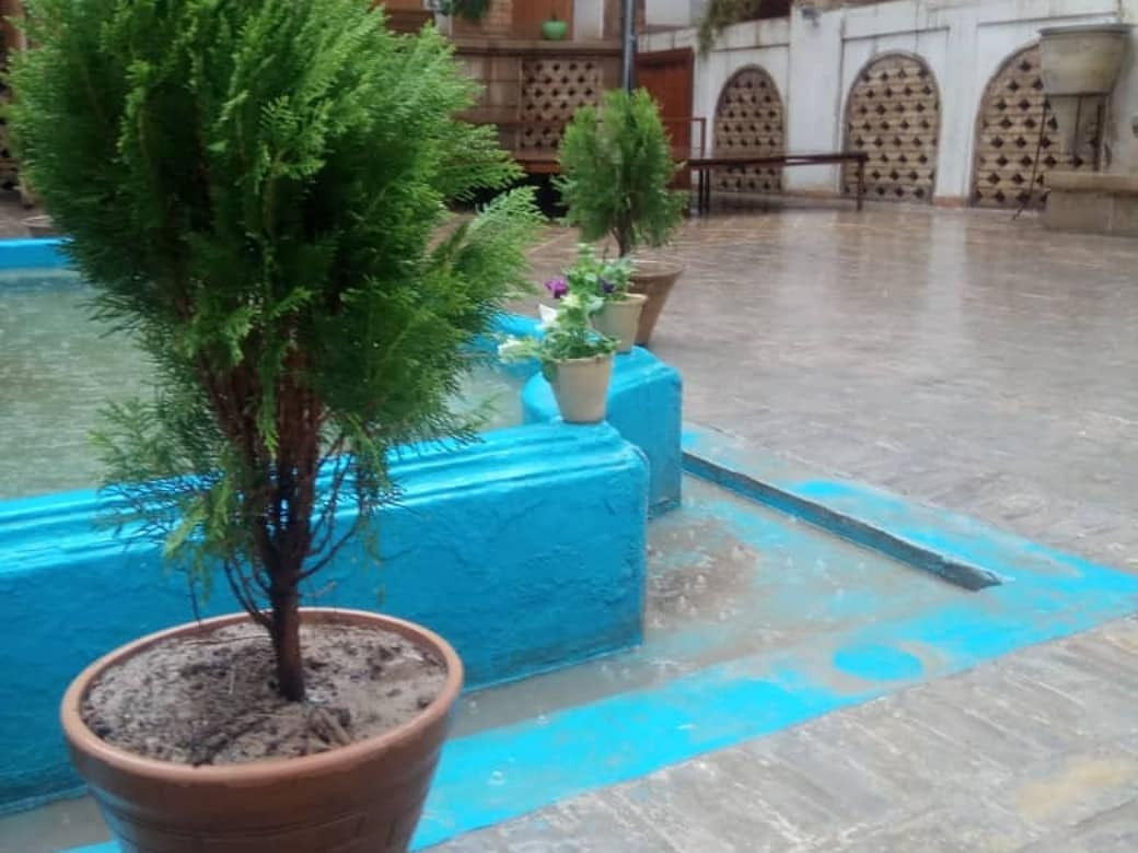 حیاط