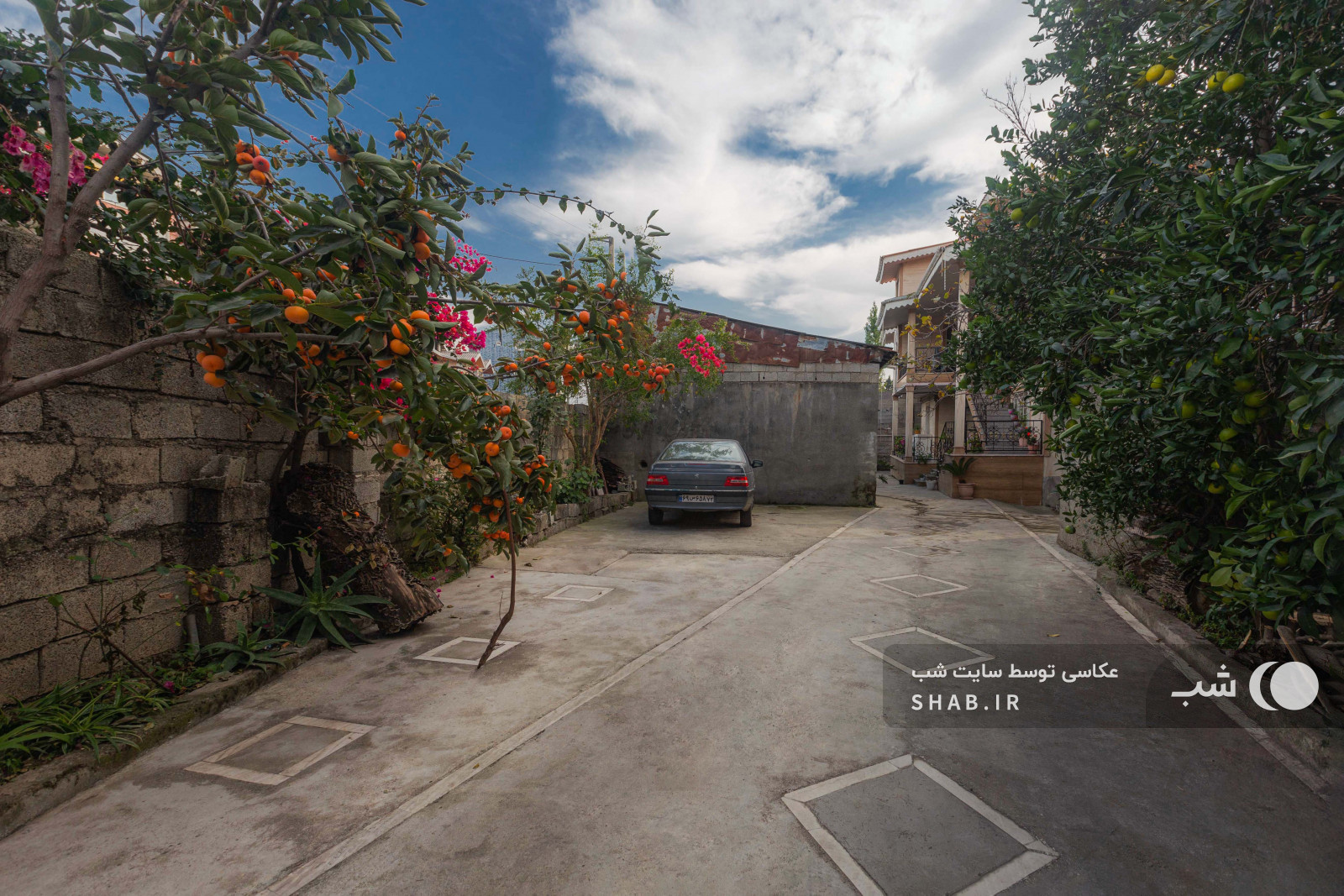 نمای ساختمان نمای ساختمان