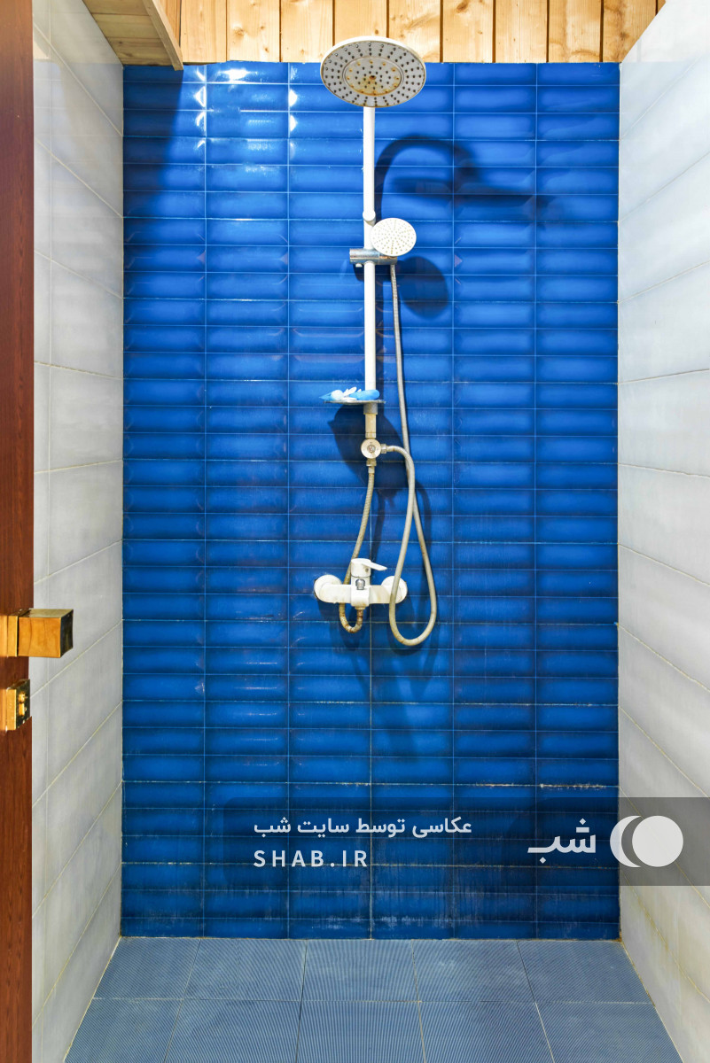 سرویس بهداشتی