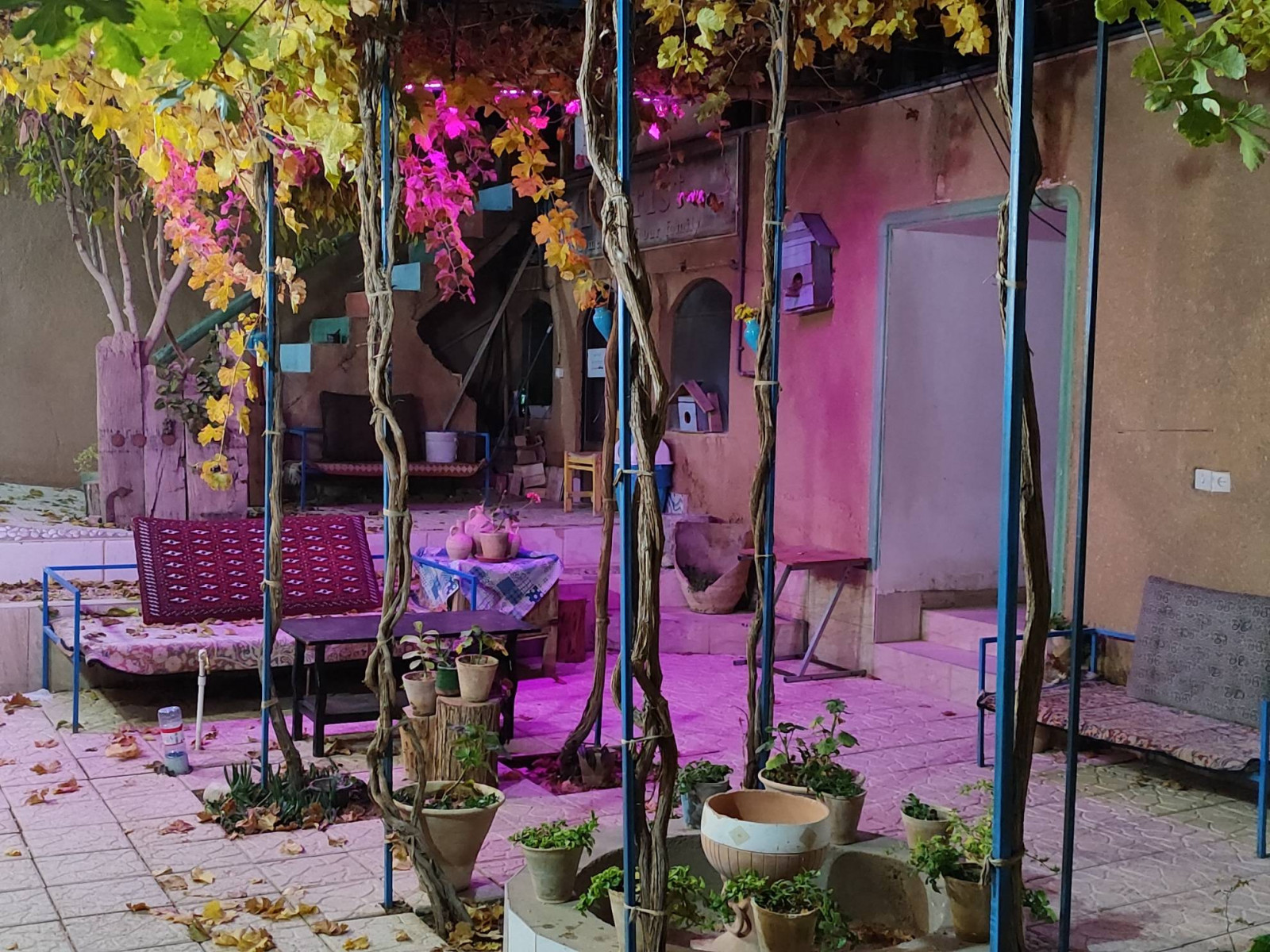 نمای بیرونی ساختمان