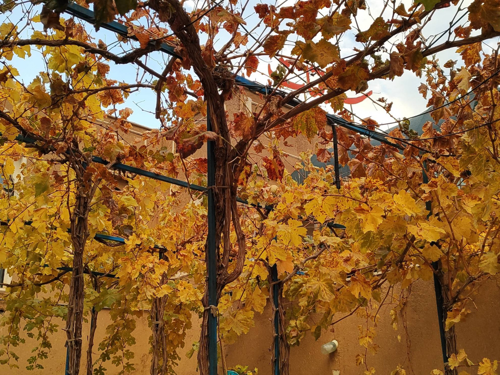 نمای بیرونی ساختمان