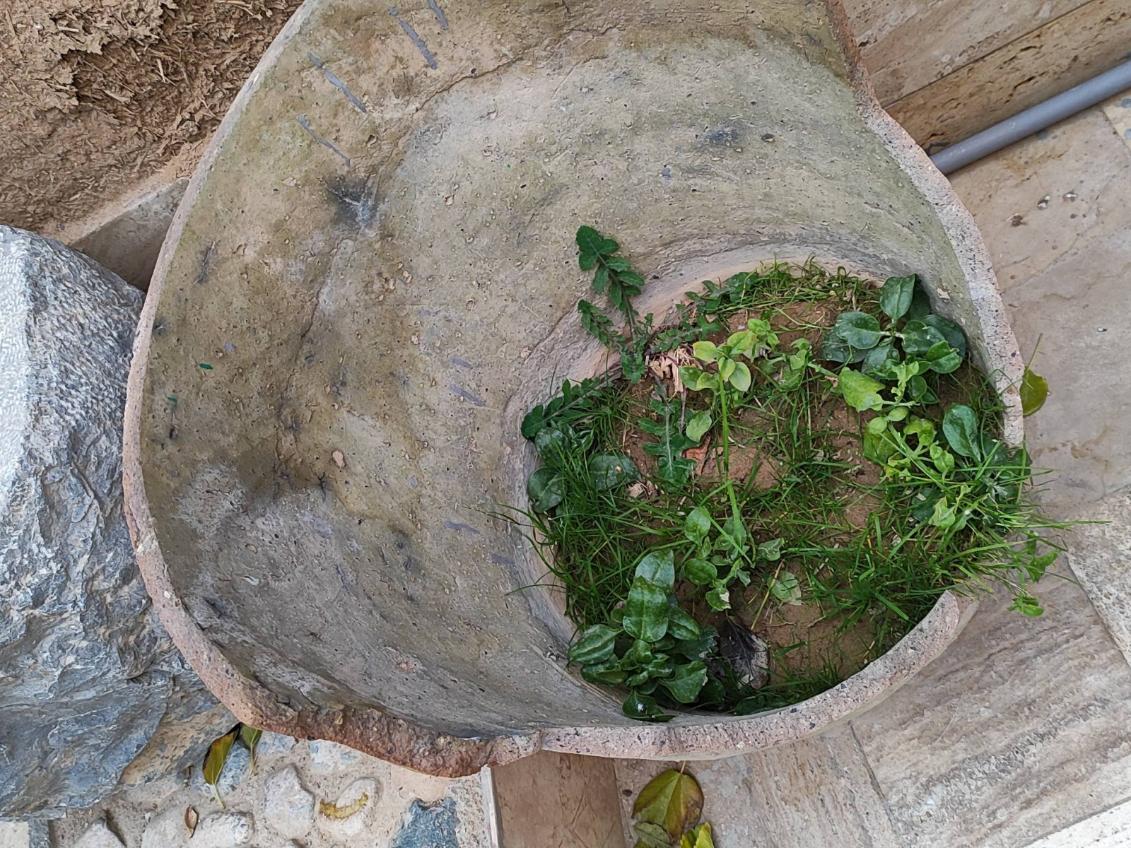نمای بیرونی ساختمان