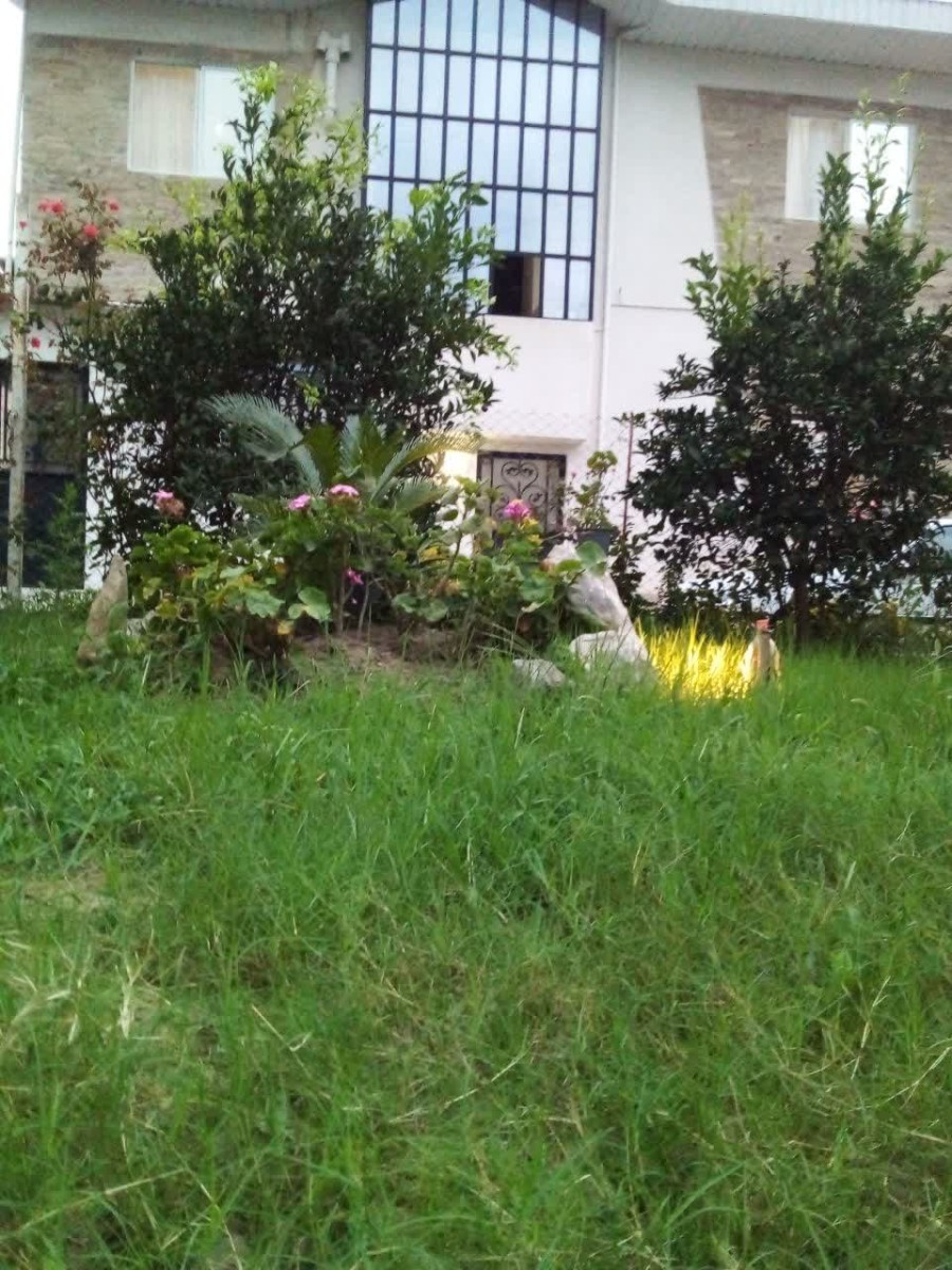 ویوی حیاط
