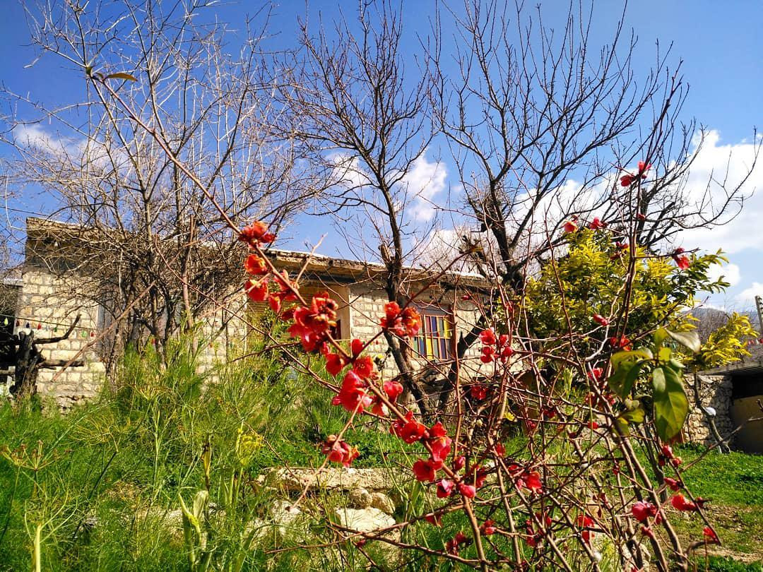 نمای ساختمان