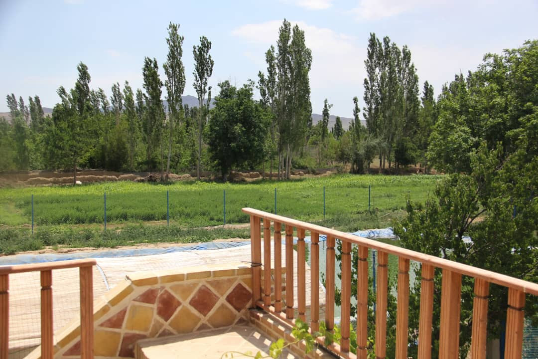 حیاط
