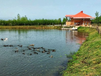 ویلا چوبی با آبگیر اختصاصی باغ طوبی