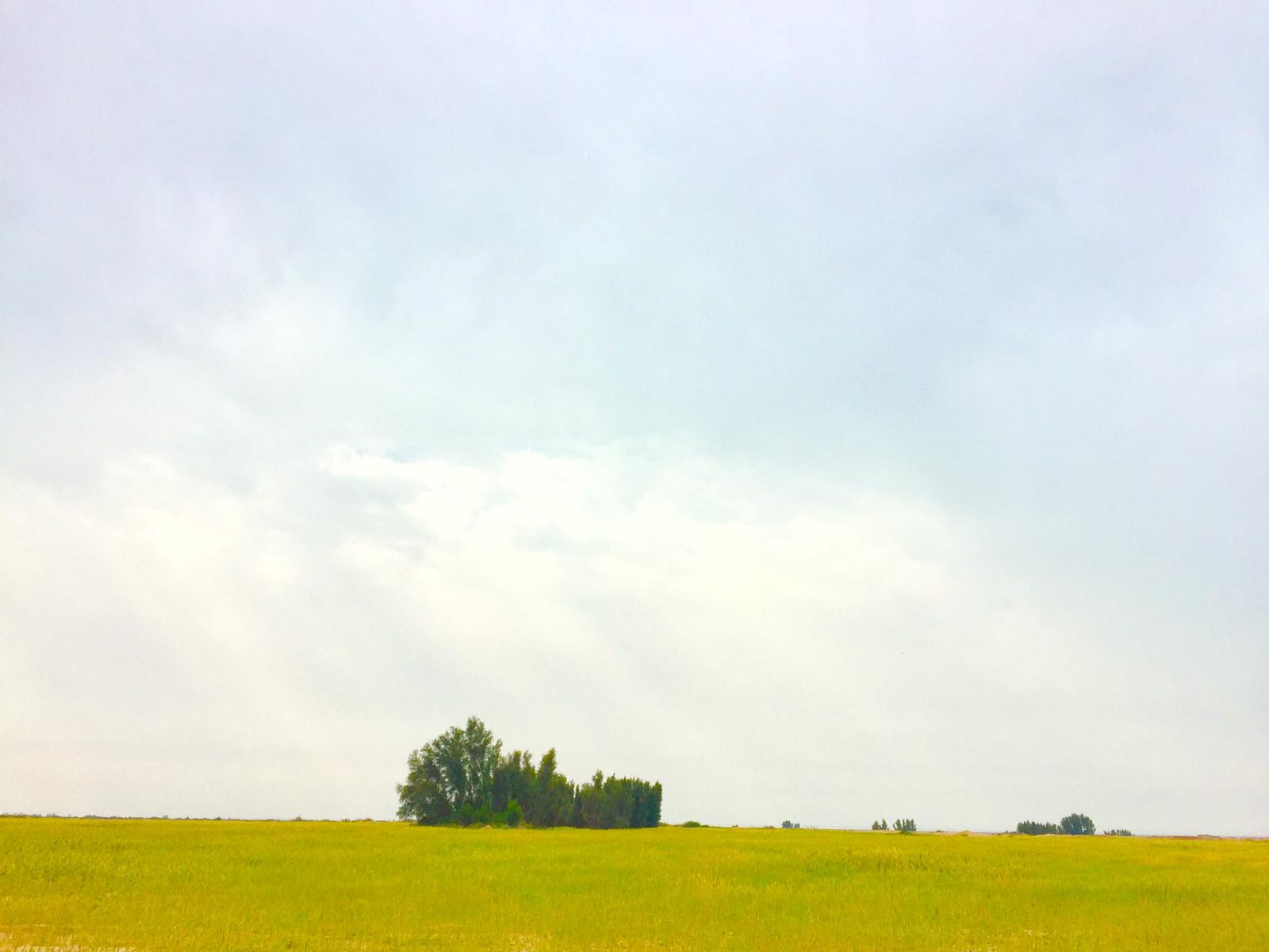 محوطه اطراف