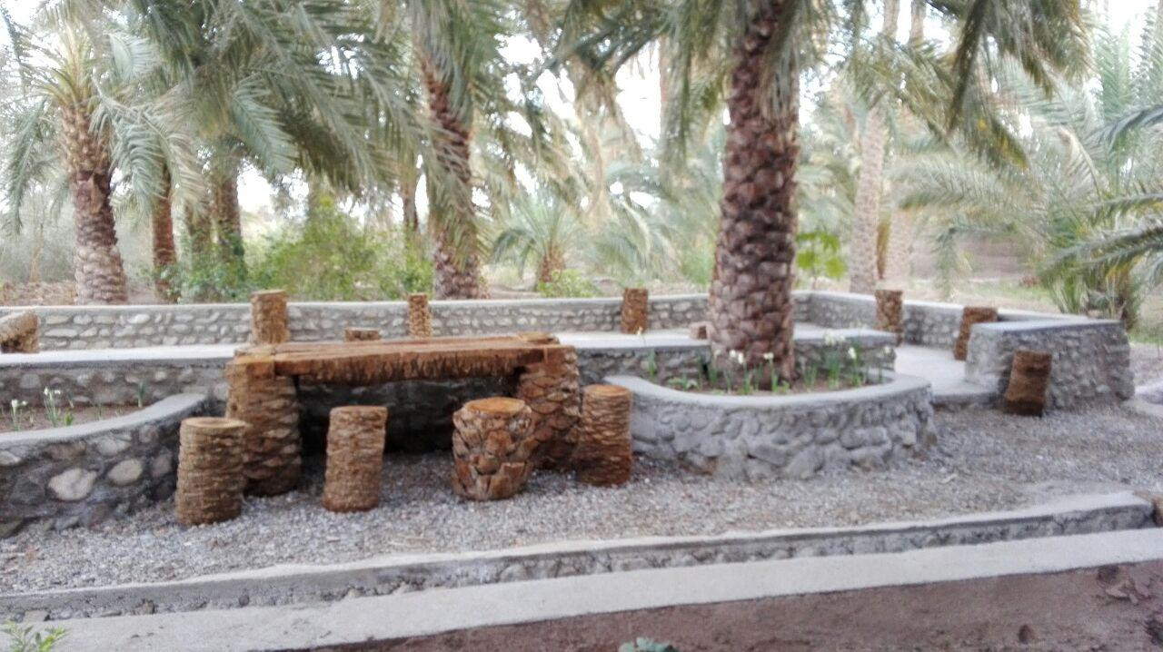 حیاط