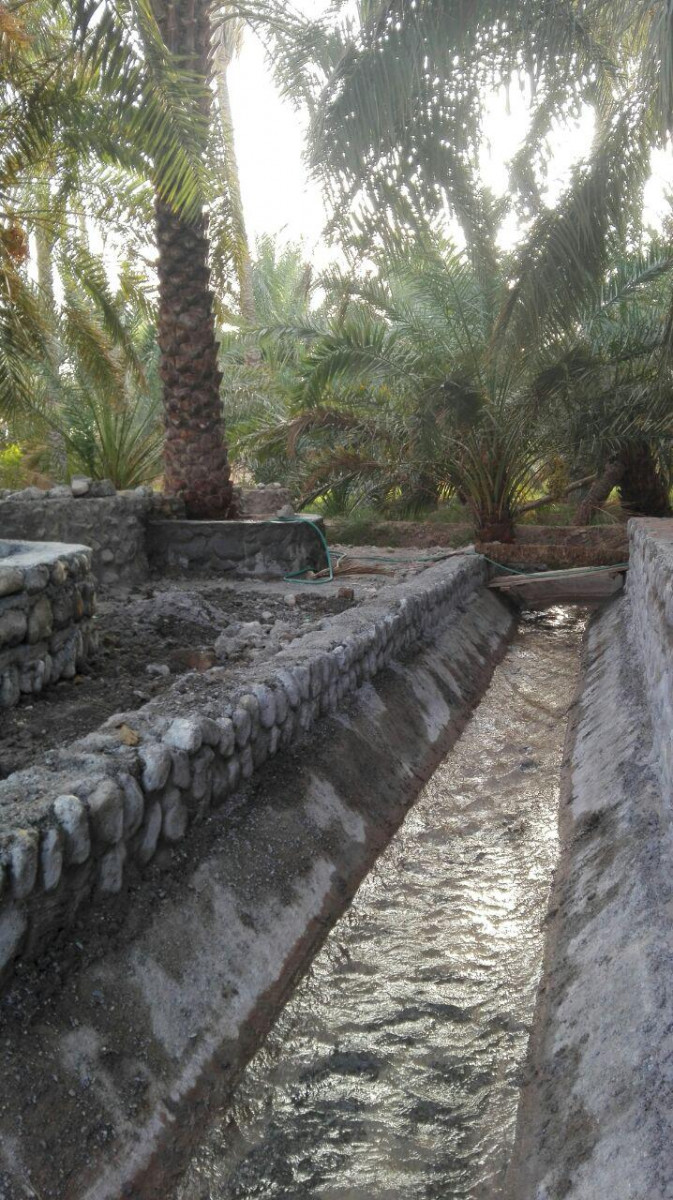 محوطه اطراف اقامتگاه