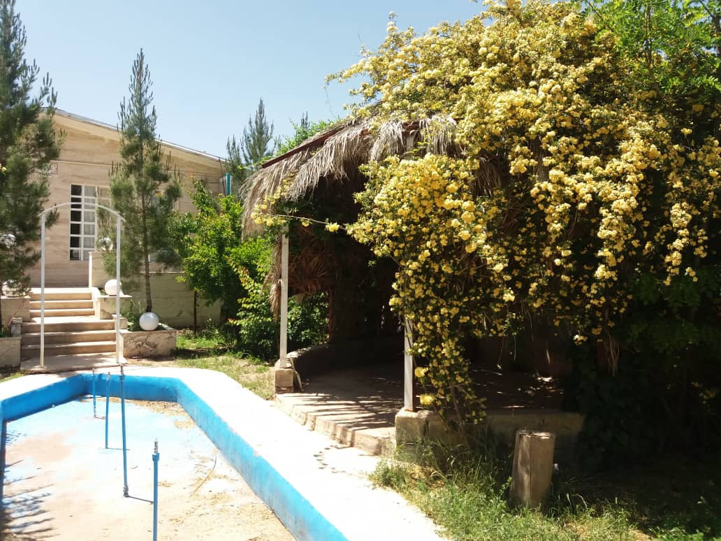 حیاط حیاط