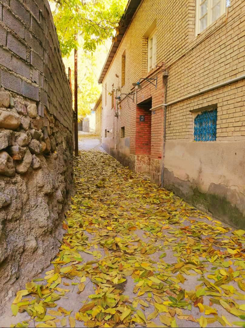 حیاط