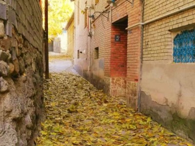 خانه گردو (اتاق نیل)