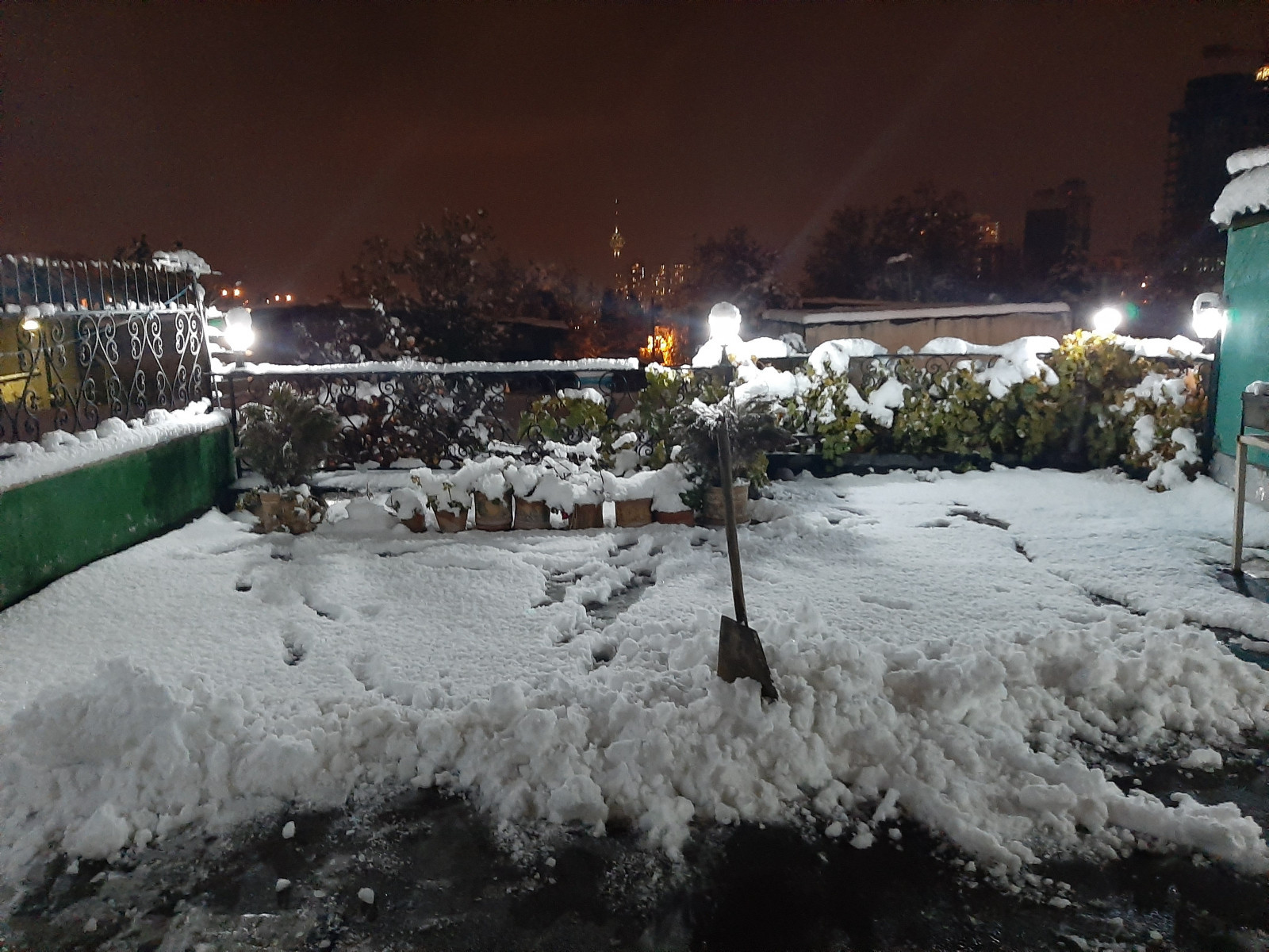 حیاط در فصل زمستان