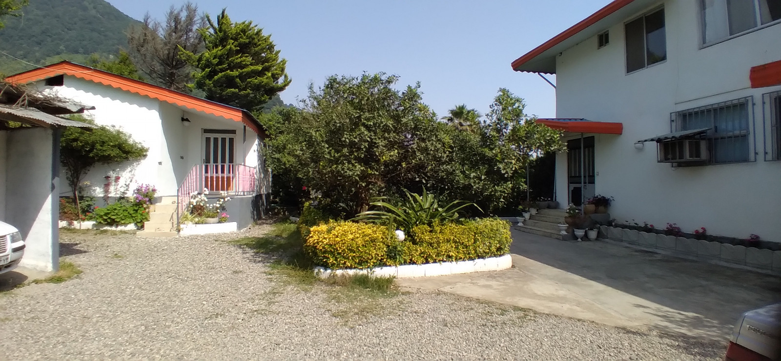 نمای حیاط