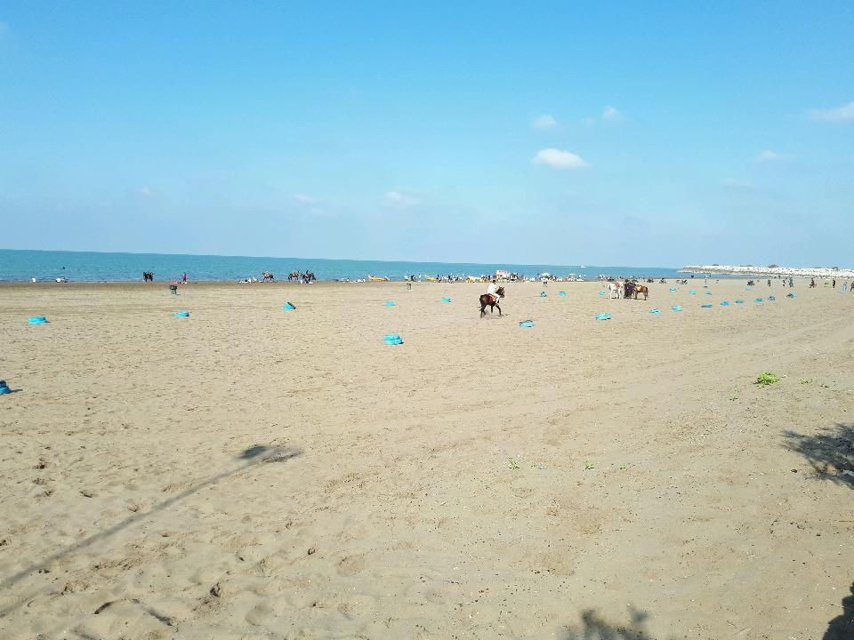 ساحل دریا ساحل دریا