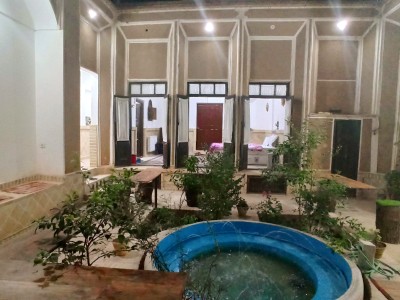 "شاخه نبات" 5 زیرزمین
