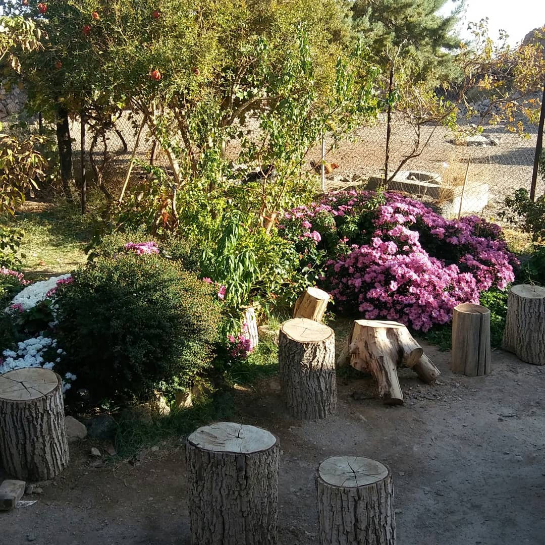 محوطه