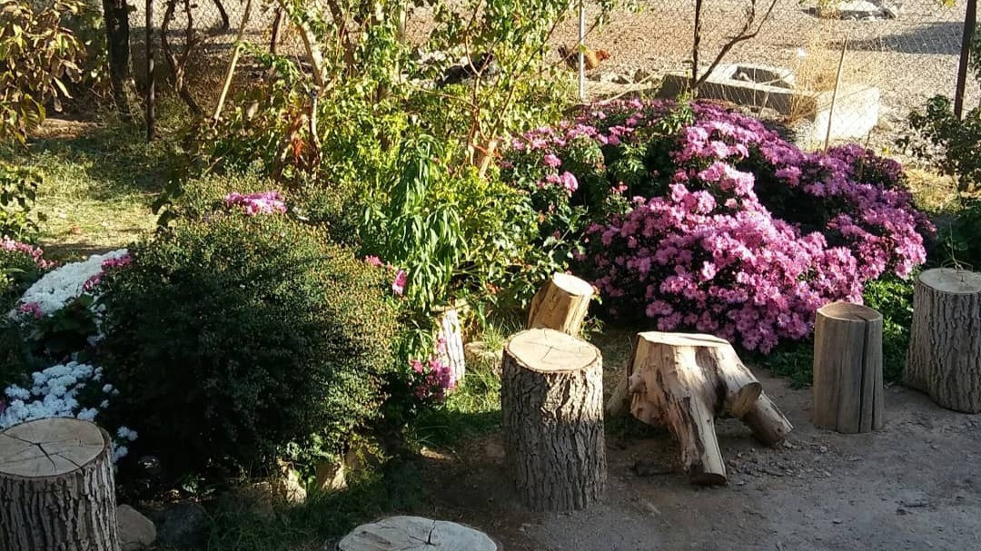 محوطه